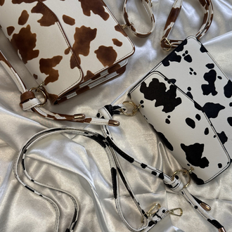 Cows