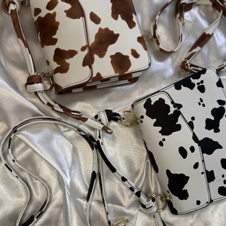 Cows