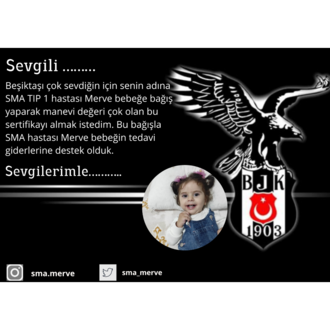 BEŞİKTAŞ TARAFTAR KARTI
