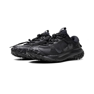 Nike ACG Mountain Fly 2 Low