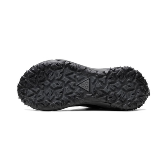 Nike ACG Mountain Fly 2 Low