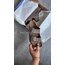 Birkenstock Arizona Brown “ Premium “