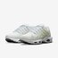 Nike Air Max Terrascape Plus DQ3977-100