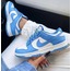 Nike Dunk Low UNC