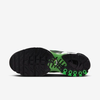 Nike Air Max Plus “Icons”