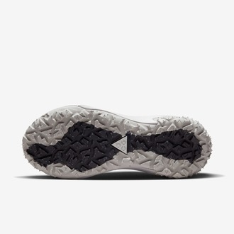 Nike ACG Mountain Fly Low 2 Iron Ore/Black