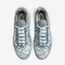 Nike Air Max Plus Waterway