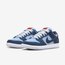 Nike SB Dunk Low Why So Sad?