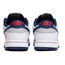 Dunk Low NBA Brooklyn Nets