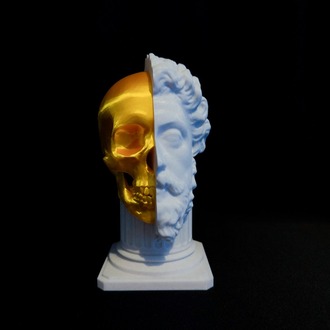 Bust of Marcus Statue