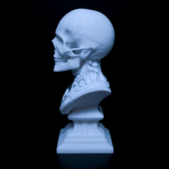 Skull Modren Decor