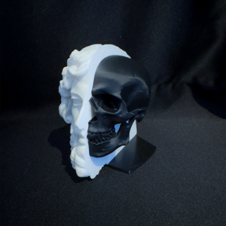 Zeus Skull