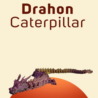 Dragon Caterpillar