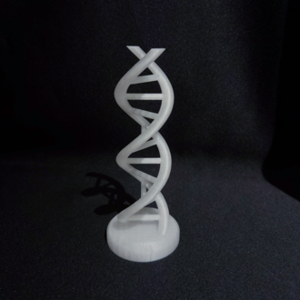 DNA Sarmalı Figürü - Bilim ve Estetiğin Buluşması