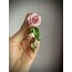 “Rose Liane”