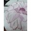 La Flor - Peony 2’li Amerikan Servis