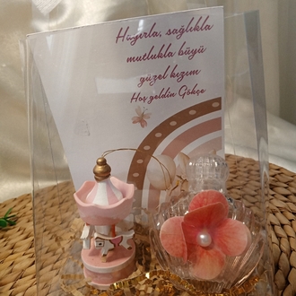 Paket Atlı Karınca Adet fiyatı