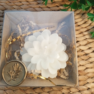 Kutulu Mum Adet Fiyatı