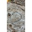 Su yolu silver 3 mm Xuping Bileklik