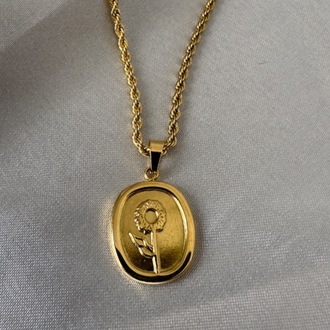 Çelik gold kolye