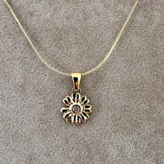 Çelik gold kolye