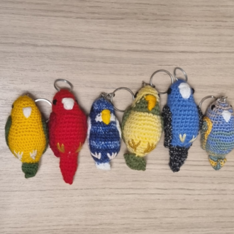 Sarı Yeşil Muhabbet Kuşu
