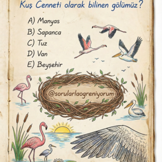 Renkli Instagram Soruları - DİJİTAL ERİŞİM