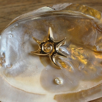 Spiral Sun Brooch