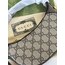 Gucci Luxury BAG (Premium)