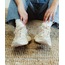 New Balance 9060 U9060WCG - Ivory (Dar Kalıp)