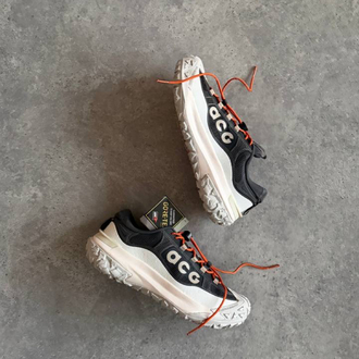 ACG MOUNTAIN FLY 2 LOW Goretex Grey 