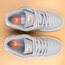 Dunk Low Pro ISO SB Wolf Grey Gum