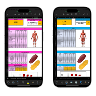 FitCheck Analizi