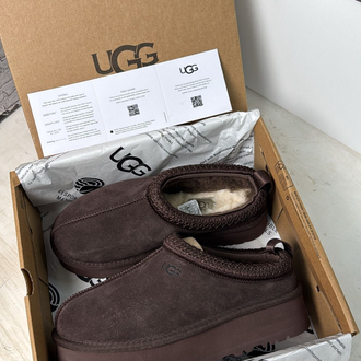 Ugg Tazz Chocolate 
