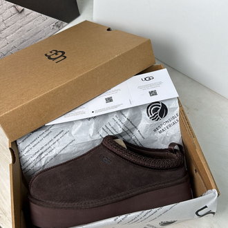 Ugg Tazz Chocolate 
