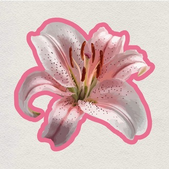 blushing lily sticker