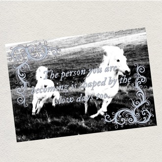 slow days postcard