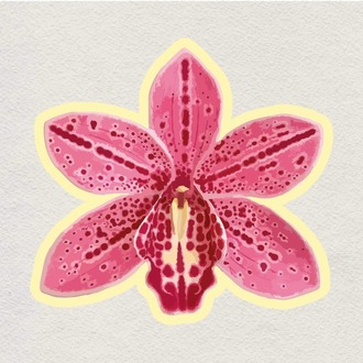 orchid crush  sticker