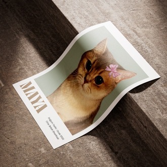 Kişiye Özel Kedi Portre Posteri | Minimal Tek Foto Evcil Hayvan Tasarımı