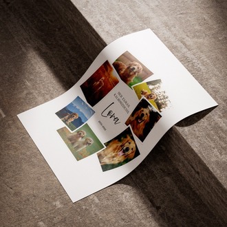 Kişiye Özel Polaroid Evcil Hayvan Posteri | Fotoğraf Koleksiyonlu Kedi & Köpek Tasarımı