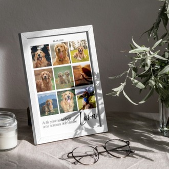 Kişiye Özel Evcil Hayvan Kolaj Posteri | 4 Fotoğraflı Kedi & Köpek Tasarımı
