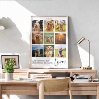 Kişiye Özel Evcil Hayvan Kolaj Posteri | 4 Fotoğraflı Kedi & Köpek Tasarımı
