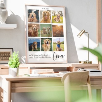 Kişiye Özel Evcil Hayvan Kolaj Posteri | 4 Fotoğraflı Kedi & Köpek Tasarımı