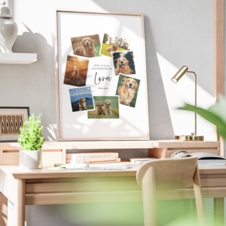 Kişiye Özel Polaroid Evcil Hayvan Posteri | Fotoğraf Koleksiyonlu Kedi & Köpek Tasarımı