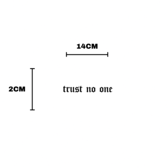 TRUST NO ONE "kimseye güvenme" Vizör Sticker