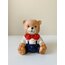 Papyonlu Teddy Bear Kumbara