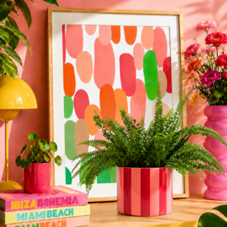 Jera Amalfi Saksı Pembe & Kırmızı