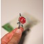 The Poppy Gelincik Broş