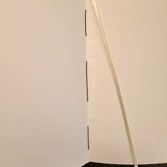 Pus
