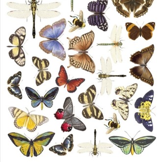 Sticker seti Butterfly #004